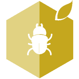 Termites